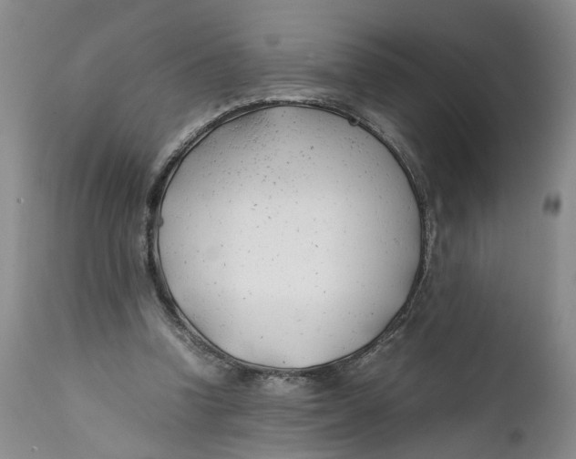 X0000112370346200909101327