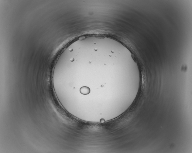 X0000112370348200909101327