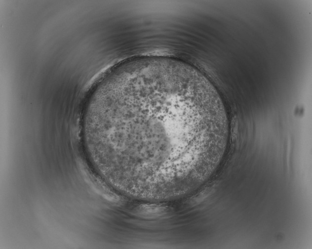 X0000112370351200909101327