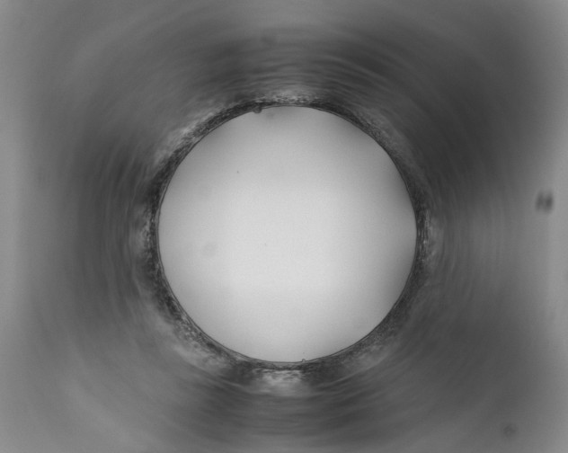 X0000112370355200909101327