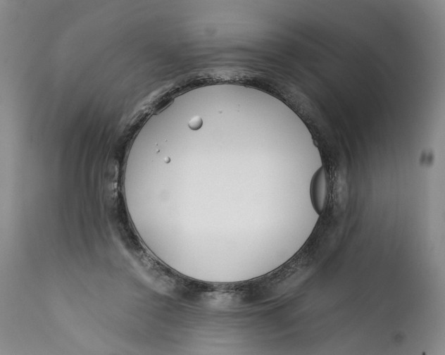 X0000112370356200909101327