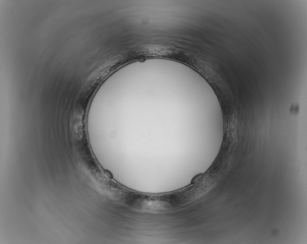 X0000112370360200909101327