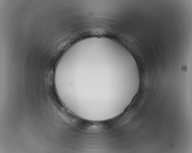X0000112370364200909101327
