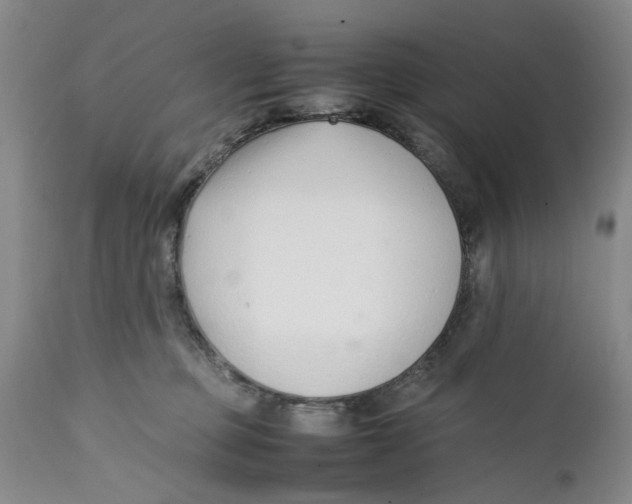 X0000112370373200909101327