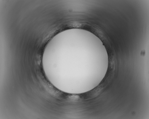 X0000112370374200909101327