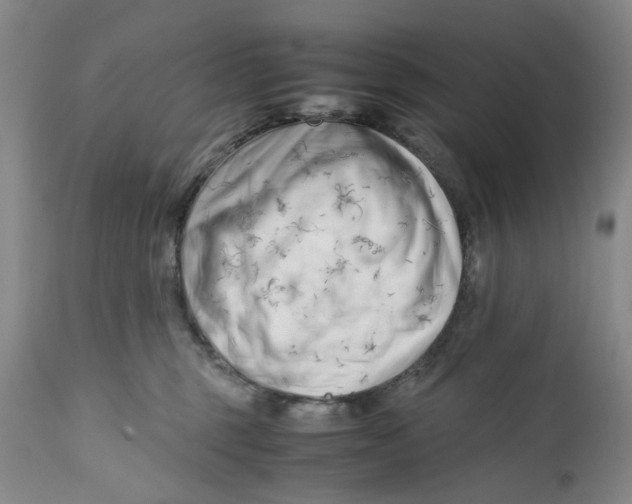 X0000112370375200909101327