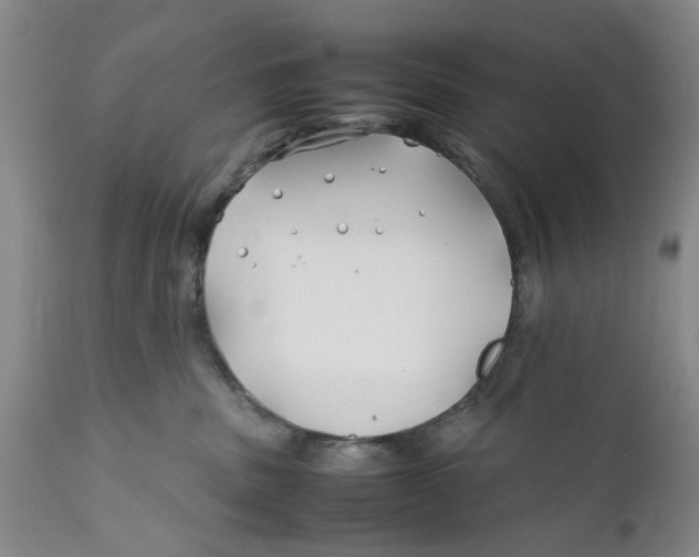 X0000112370379200909101328