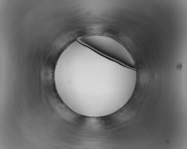 X0000112370380200909101328