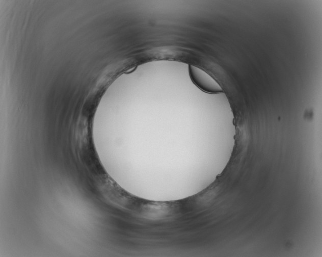 X0000112370381200909101328