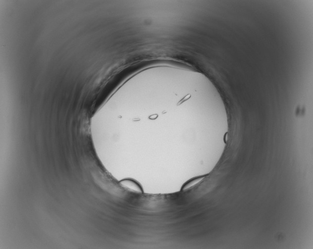 X0000112370384200909101328