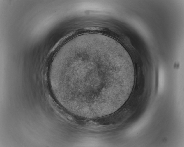 X0000112370387200909101327