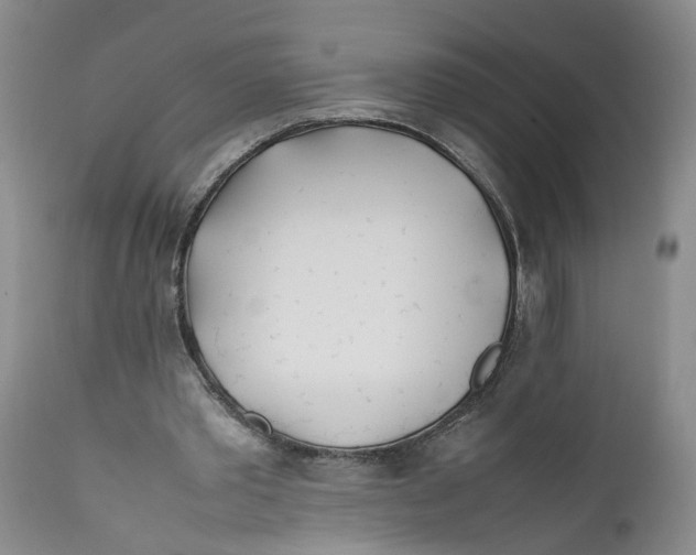 X0000112370389200909101327