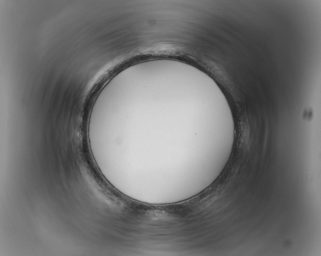 X0000112370392200909101326