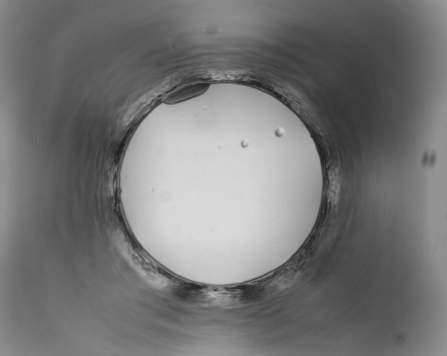 X0000112370405200909101326