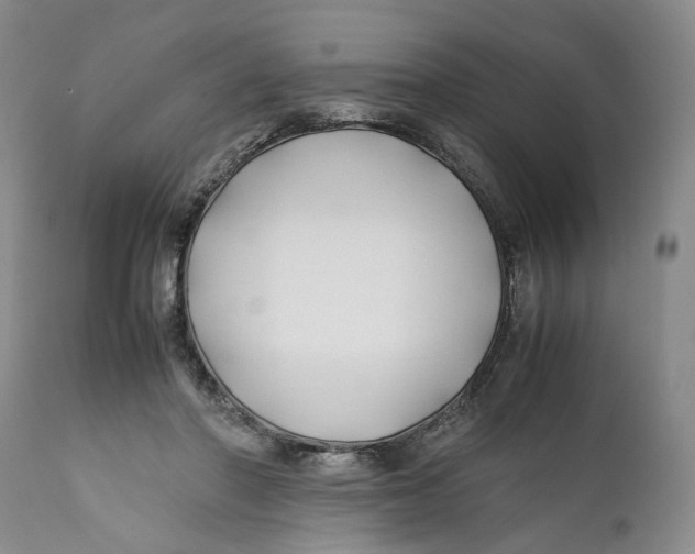 X0000112370406200909101326