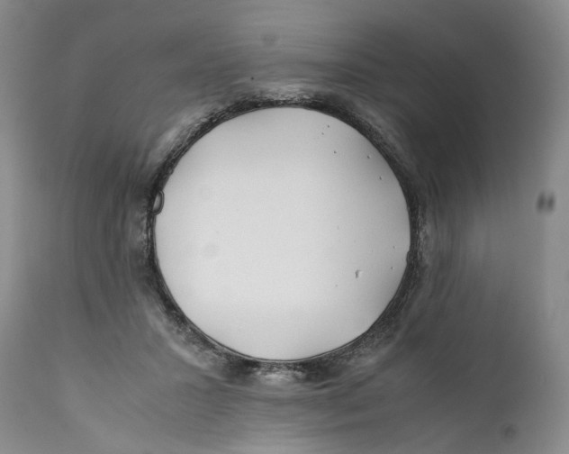 X0000112370407200909101326