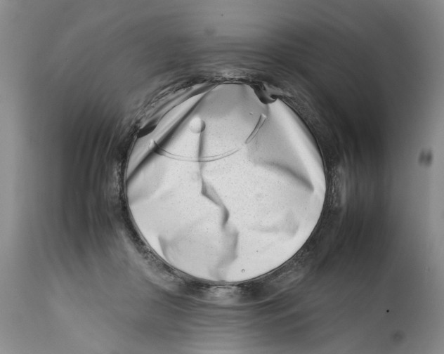 X0000112370410200909101326