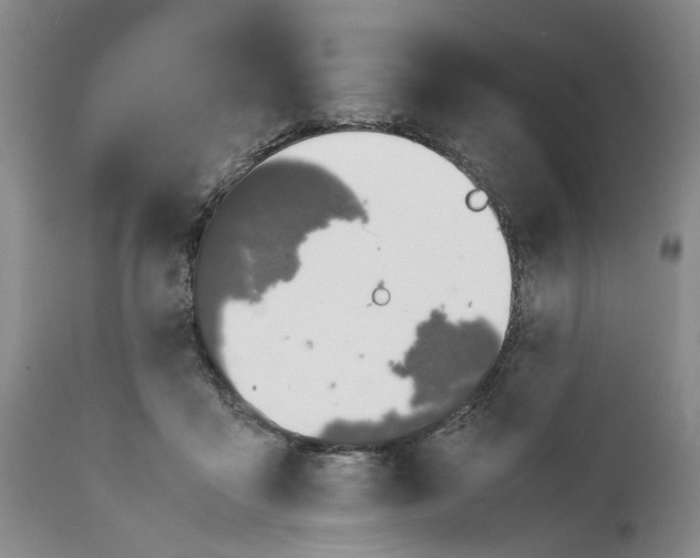 X0000112370411200909101326