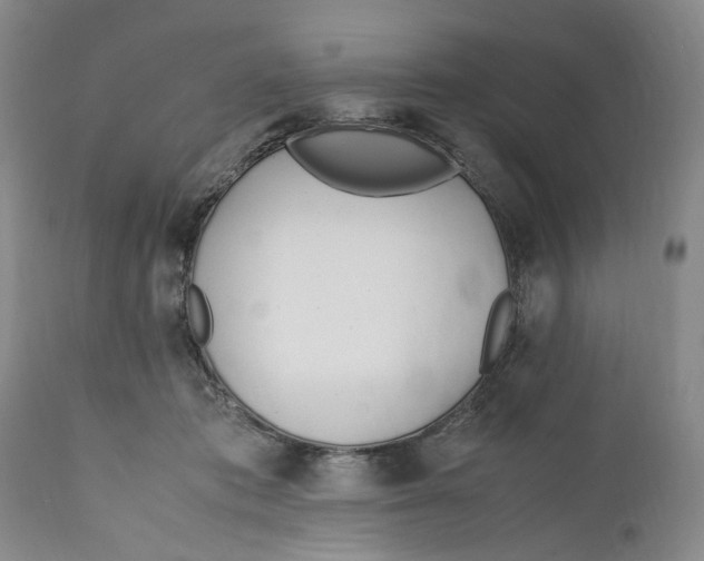 X0000112370413200909101326