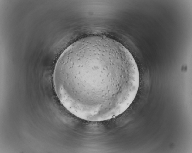 X0000112370415200909101326