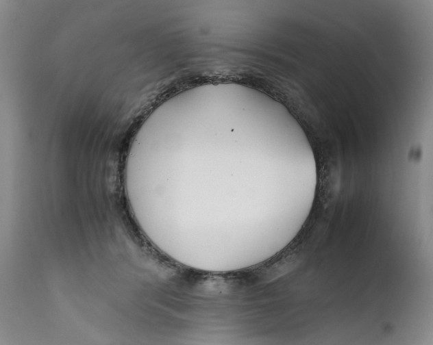 X0000112370416200909101326