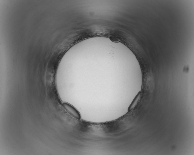 X0000112370417200909101326