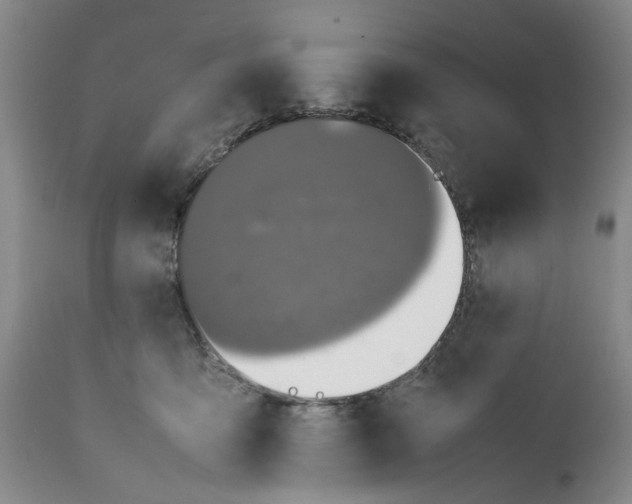 X0000112370419200909101326