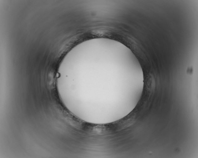 X0000112370420200909101326