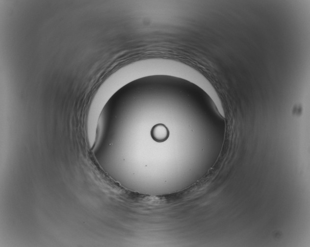 X0000112370421200909101326