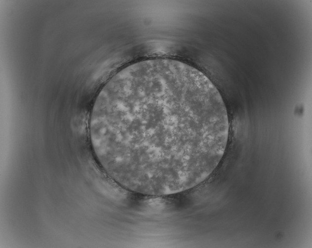 X0000112370423200909101326