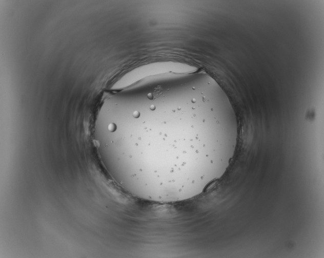 X0000112370424200909101326