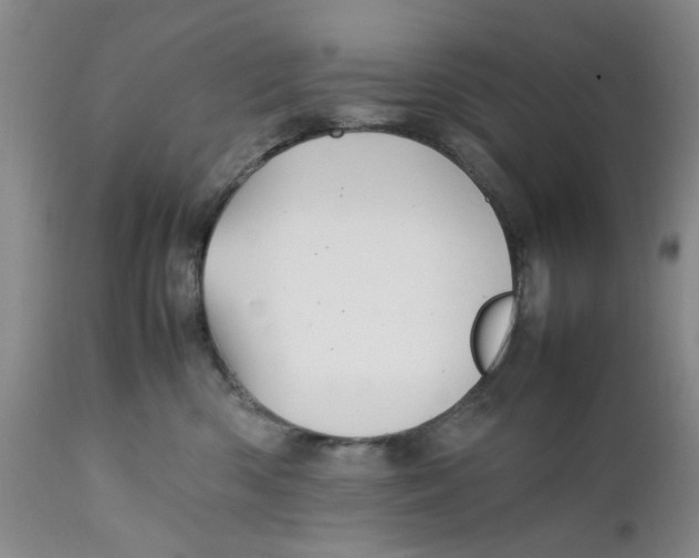 X0000112370426200909101326