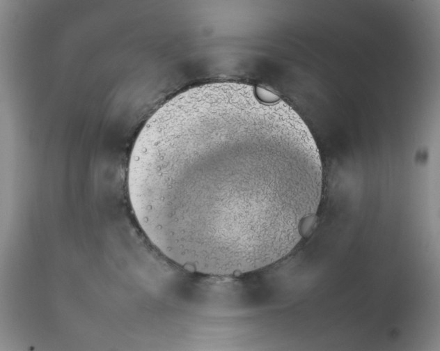 X0000112370427200909101326