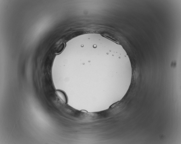 X0000112370429200909101326