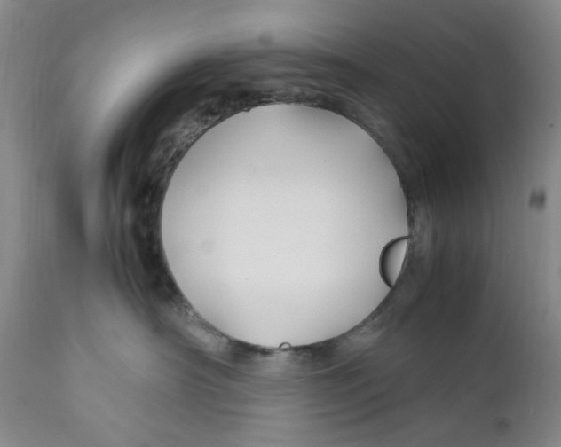 X0000112370430200909101326
