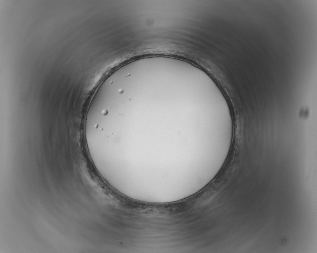 X0000112370434200909101325