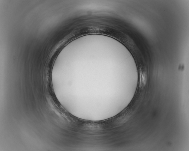 X0000112370435200909101325