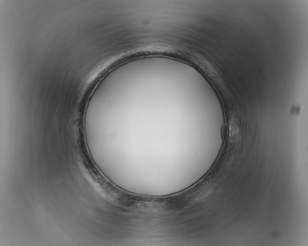 X0000112370436200909101325
