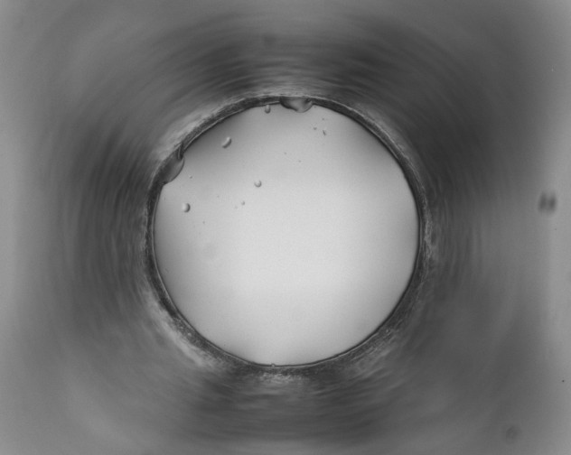 X0000112370437200909101325