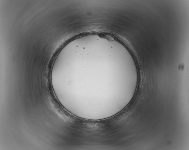 X0000112370439200909101325
