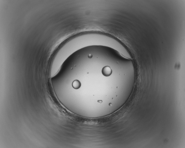 X0000112370440200909101325