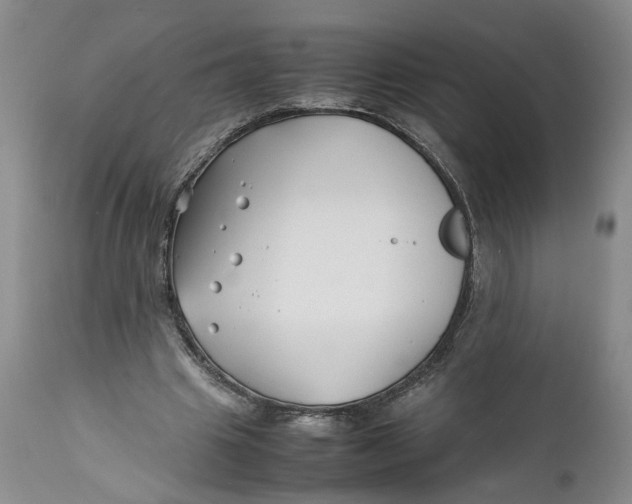 X0000112370441200909101325