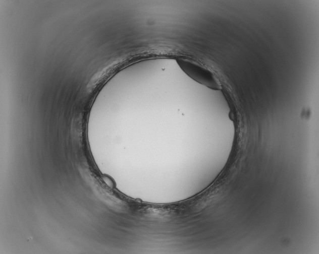 X0000112370442200909101325