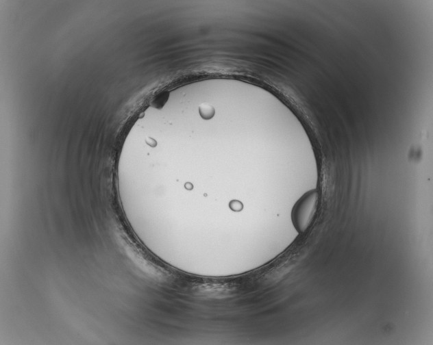 X0000112370445200909101325
