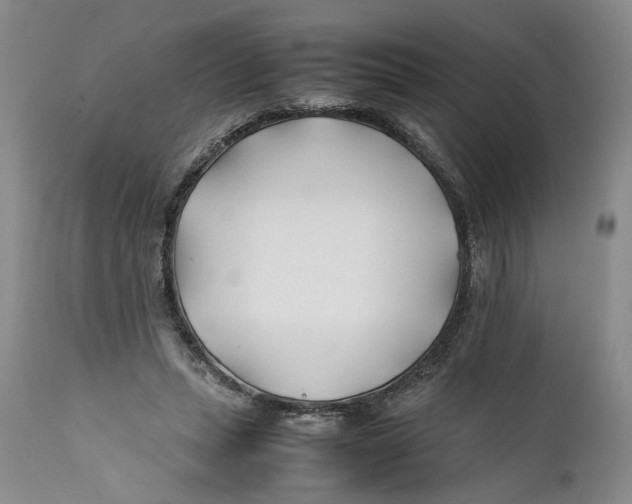 X0000112370447200909101325