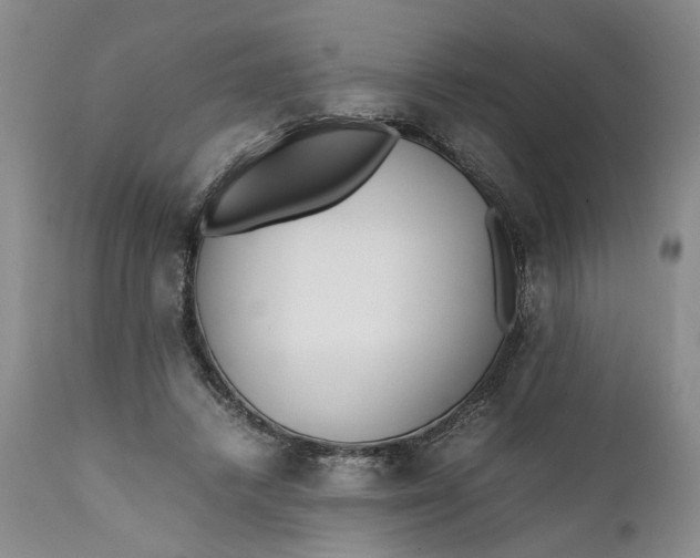 X0000112370448200909101325