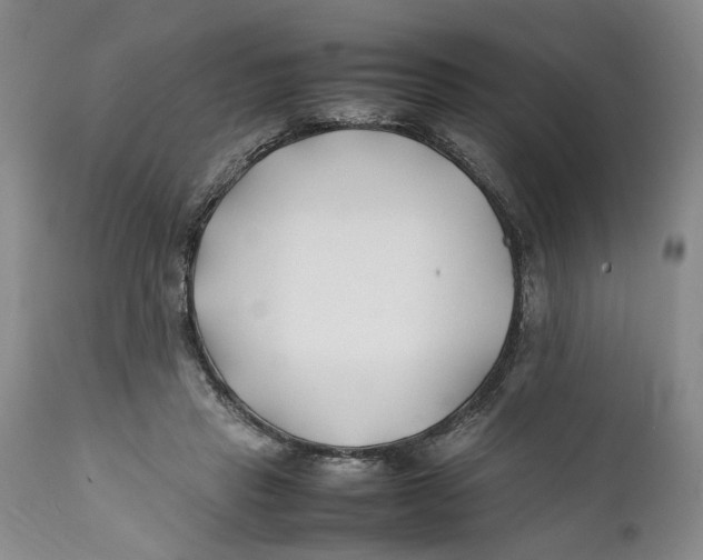 X0000112370453200909101325