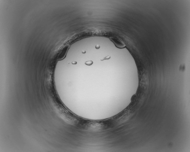 X0000112370456200909101325