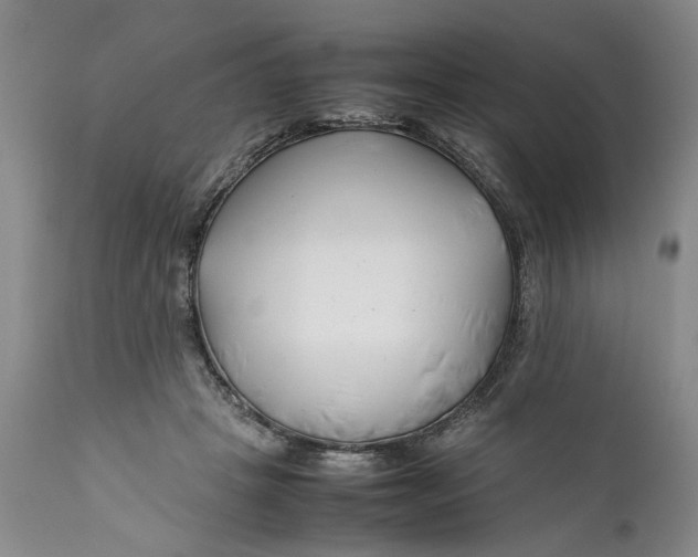 X0000112370457200909101325