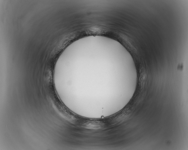 X0000112370459200909101325